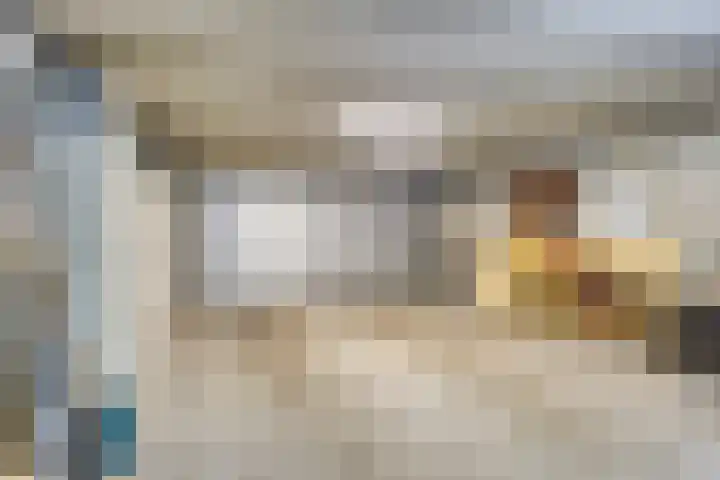 Ministerlaan 44 Eindhoven thumbnail 71