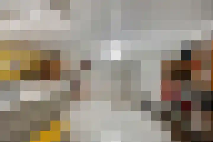 Ministerlaan 44 Eindhoven thumbnail 74