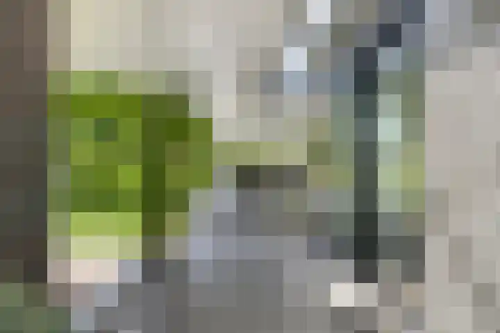 Ministerlaan 44 Eindhoven thumbnail 79