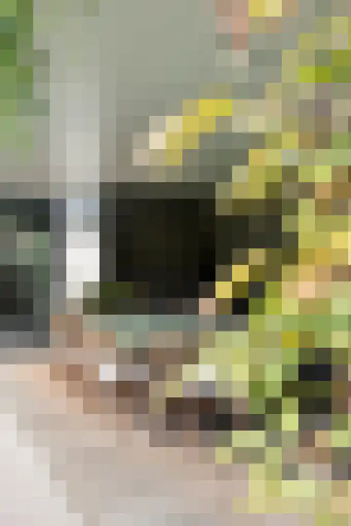 Ministerlaan 44 Eindhoven thumbnail 82