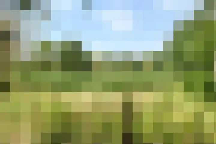 Ministerlaan 44 Eindhoven thumbnail 83