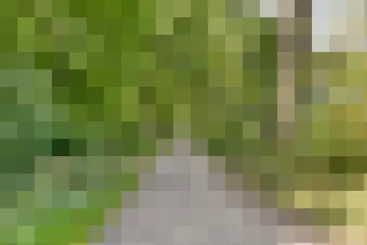 Ministerlaan 44 Eindhoven thumbnail 84