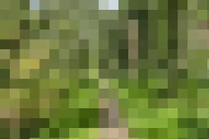 Ministerlaan 44 Eindhoven thumbnail 85