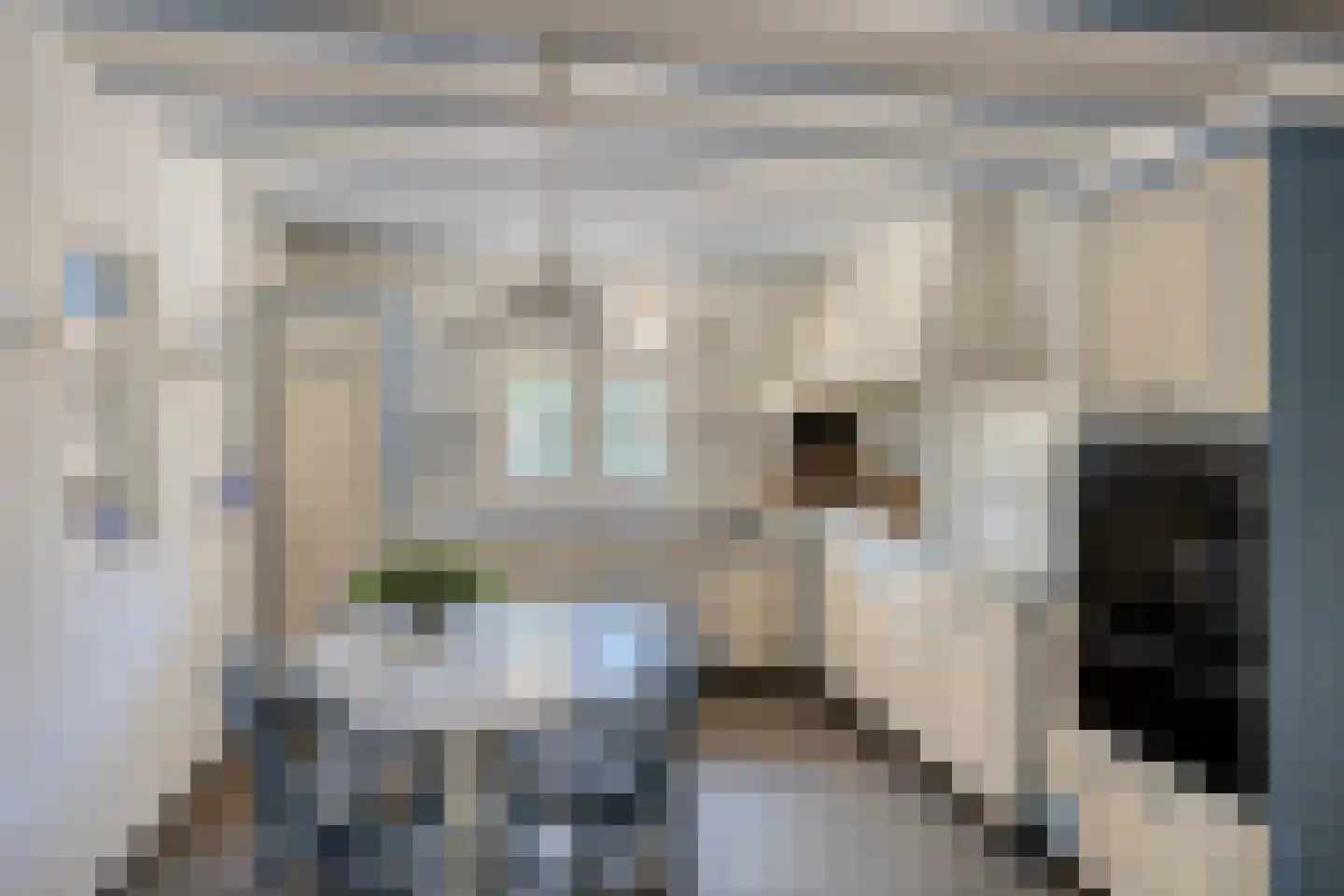 Ministerlaan 45 Eindhoven thumbnail 15