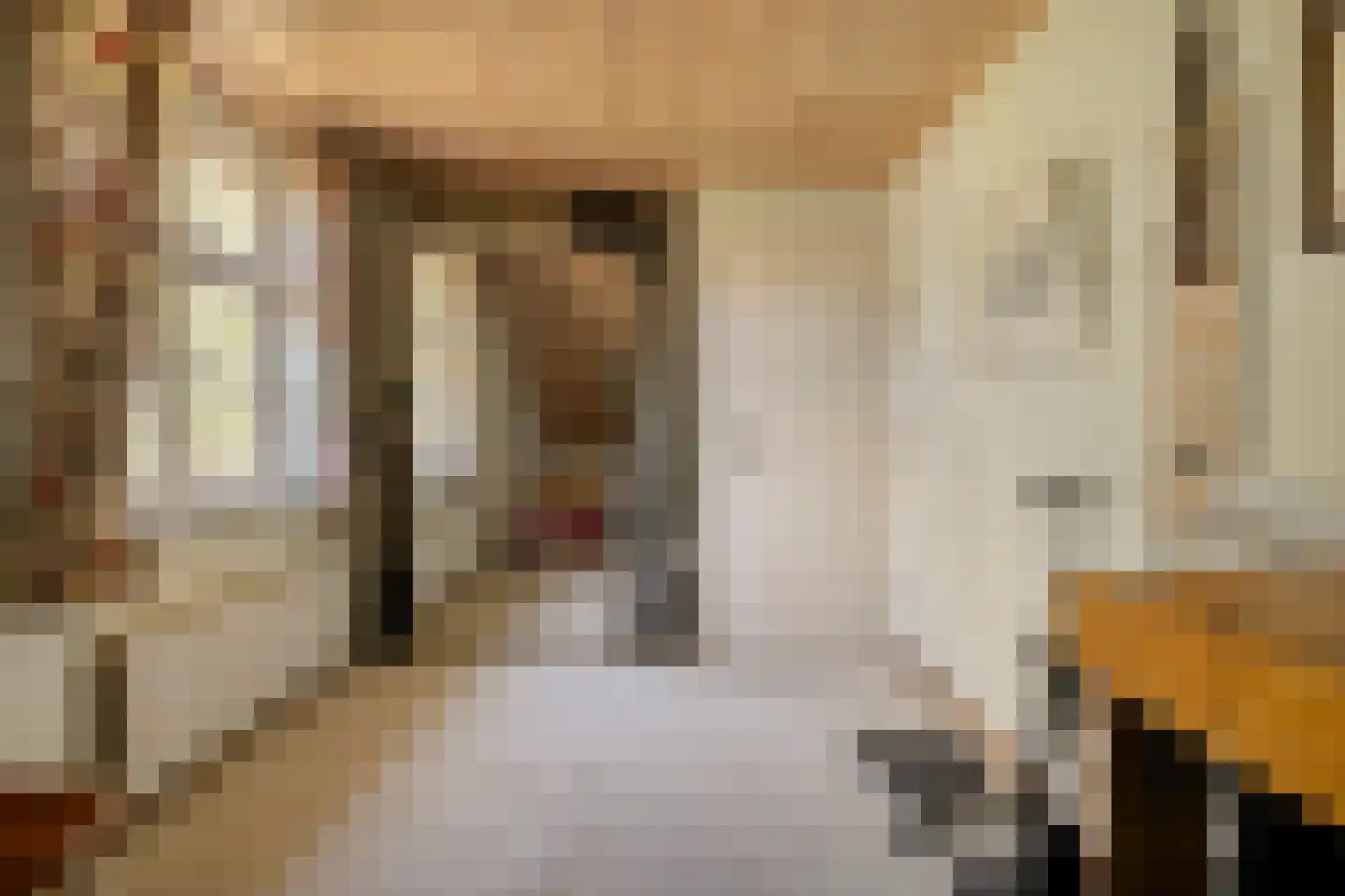 Ministerlaan 45 Eindhoven thumbnail 27