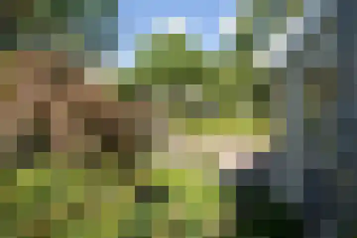 Ministerlaan 7 Eindhoven thumbnail 11
