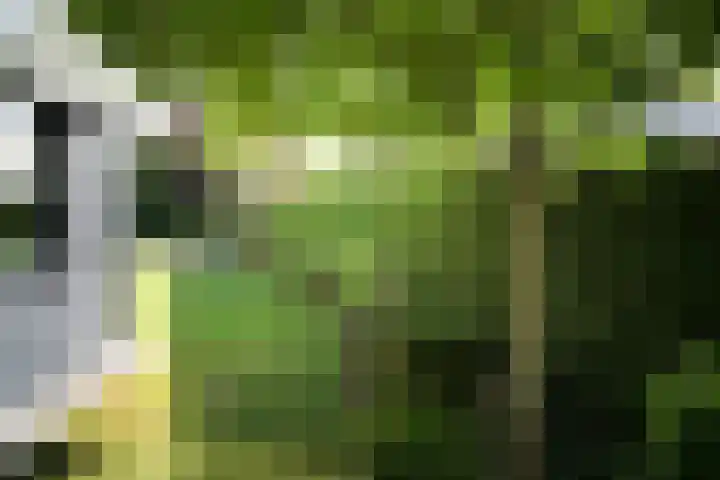 Ministerlaan 7 Eindhoven thumbnail 12