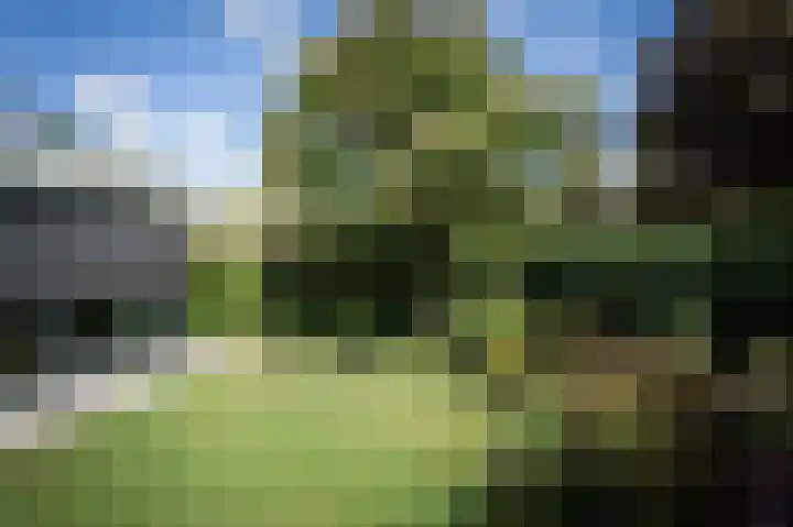 Ministerlaan 7 Eindhoven thumbnail 15