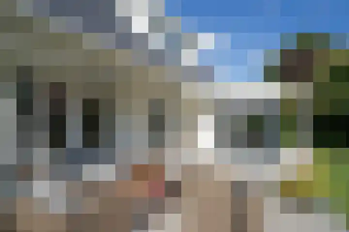 Ministerlaan 7 Eindhoven thumbnail 16