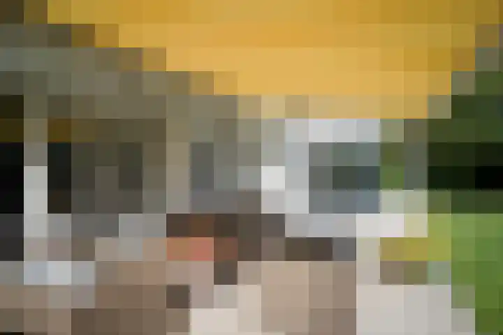 Ministerlaan 7 Eindhoven thumbnail 17