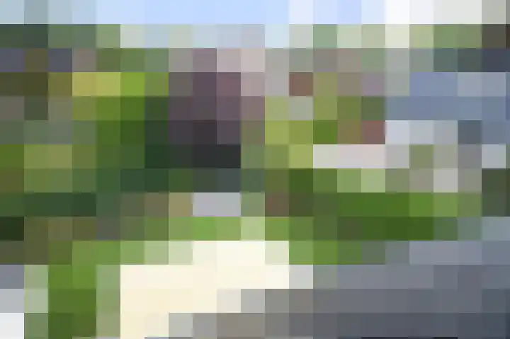 Ministerlaan 7 Eindhoven thumbnail 19