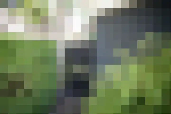 Ministerlaan 7 Eindhoven thumbnail 20