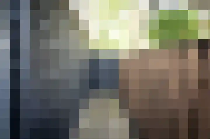 Ministerlaan 7 Eindhoven thumbnail 21