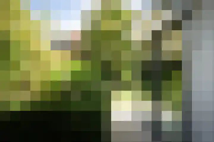 Ministerlaan 7 Eindhoven thumbnail 22