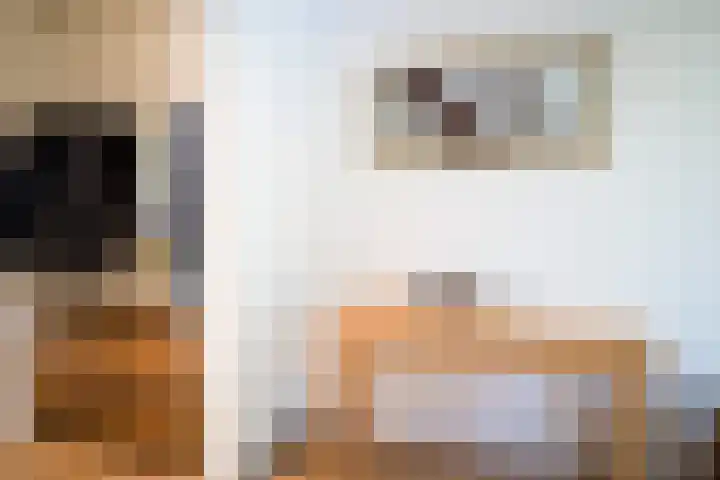 Ministerlaan 7 Eindhoven thumbnail 25