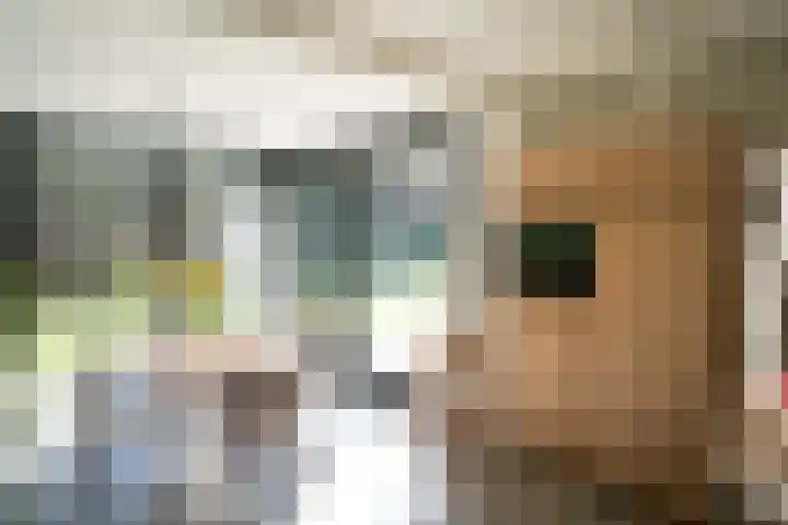 Ministerlaan 7 Eindhoven thumbnail 41