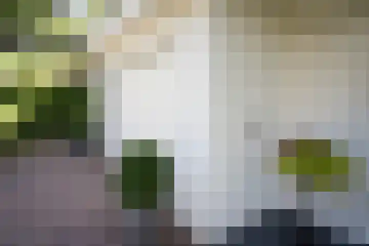 Ministerlaan 7 Eindhoven thumbnail 44