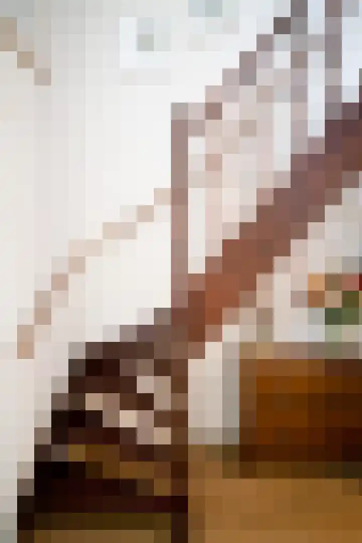 Ministerlaan 7 Eindhoven thumbnail 48