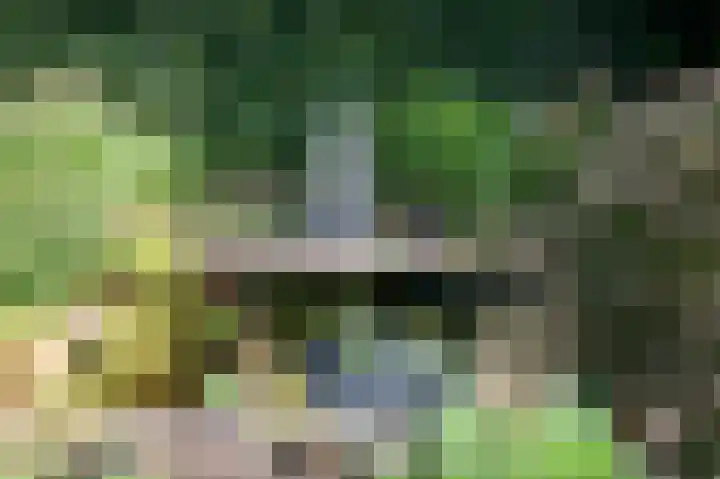 Ministerlaan 7 Eindhoven thumbnail 6