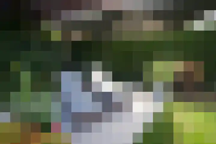 Ministerlaan 7 Eindhoven thumbnail 7