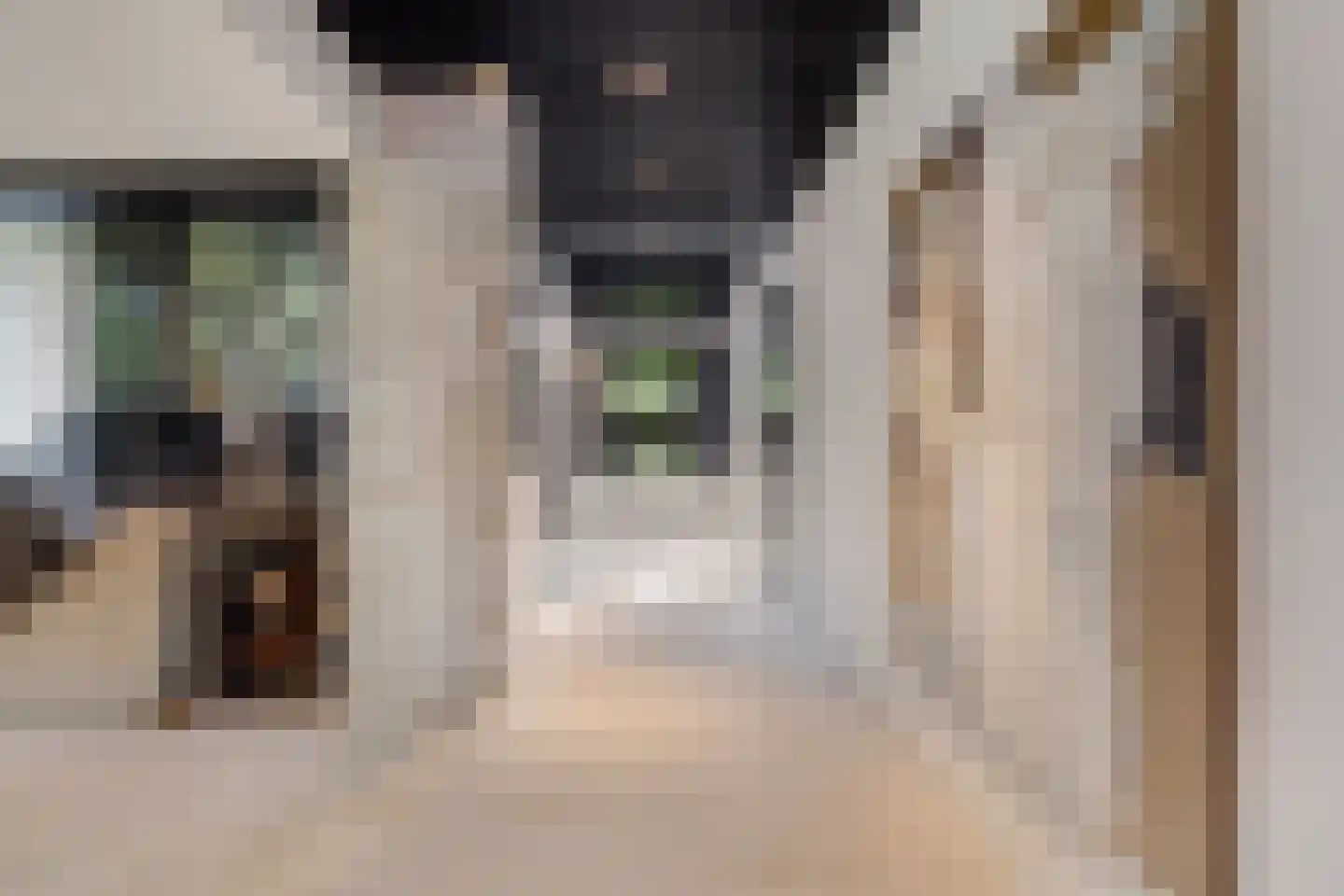 Ministerlaan 72 Eindhoven thumbnail 19