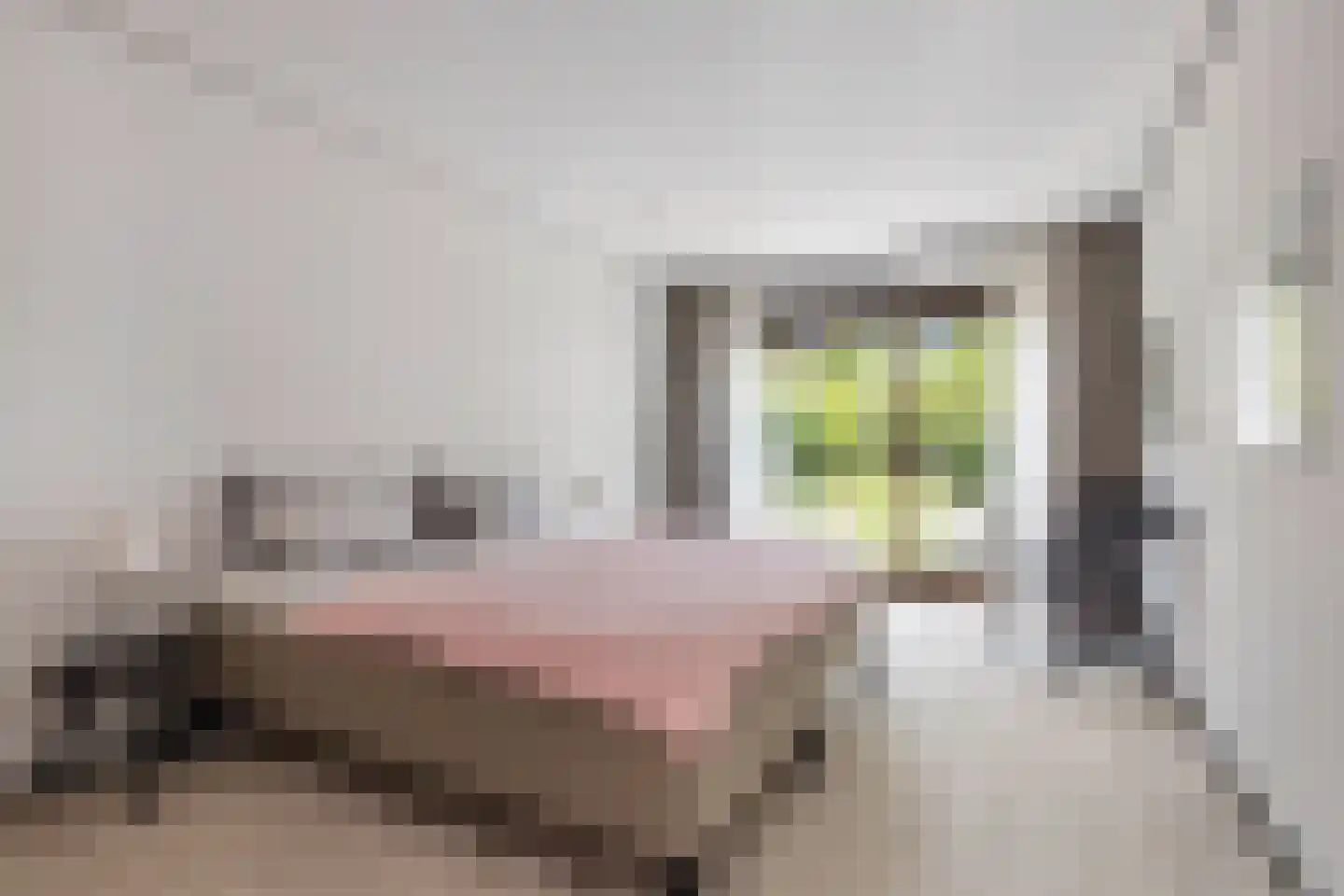 Ministerlaan 72 Eindhoven thumbnail 44