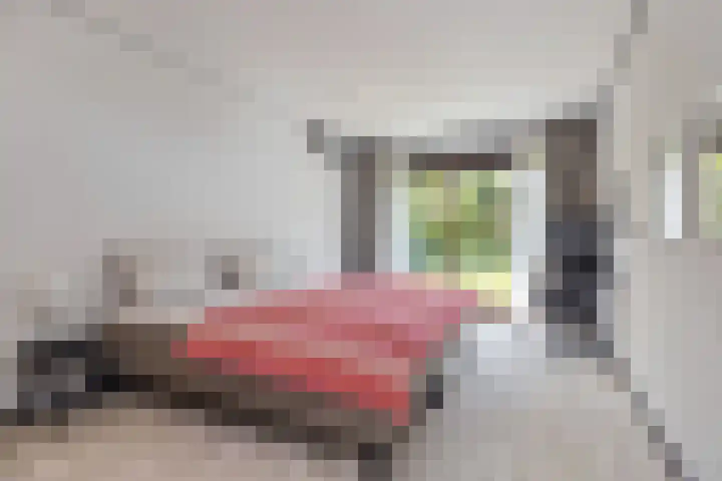 Ministerlaan 72 Eindhoven thumbnail 46