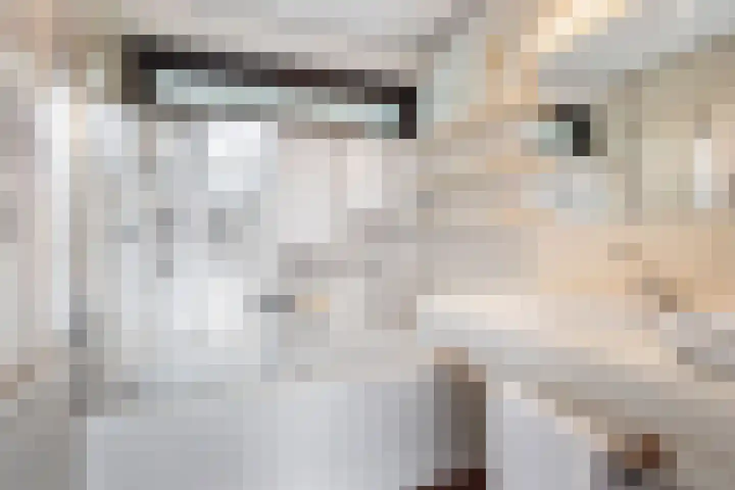 Ministerlaan 72 Eindhoven thumbnail 48