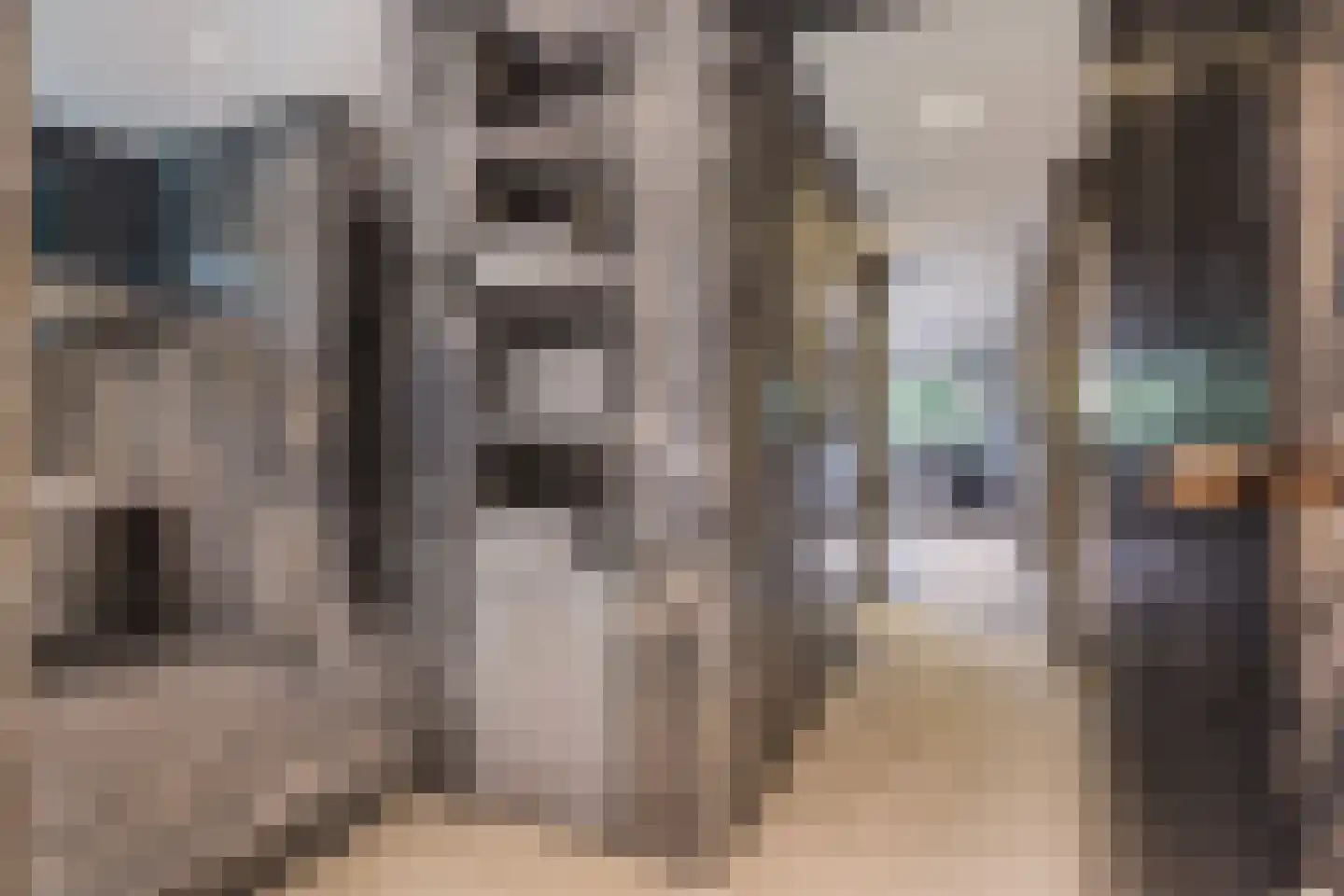 Ministerlaan 72 Eindhoven thumbnail 51