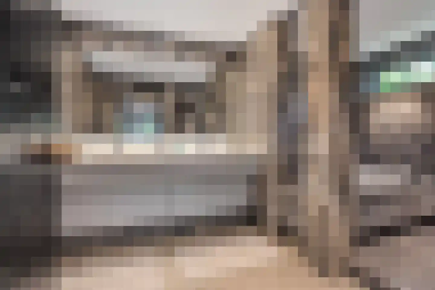 Ministerlaan 72 Eindhoven thumbnail 52