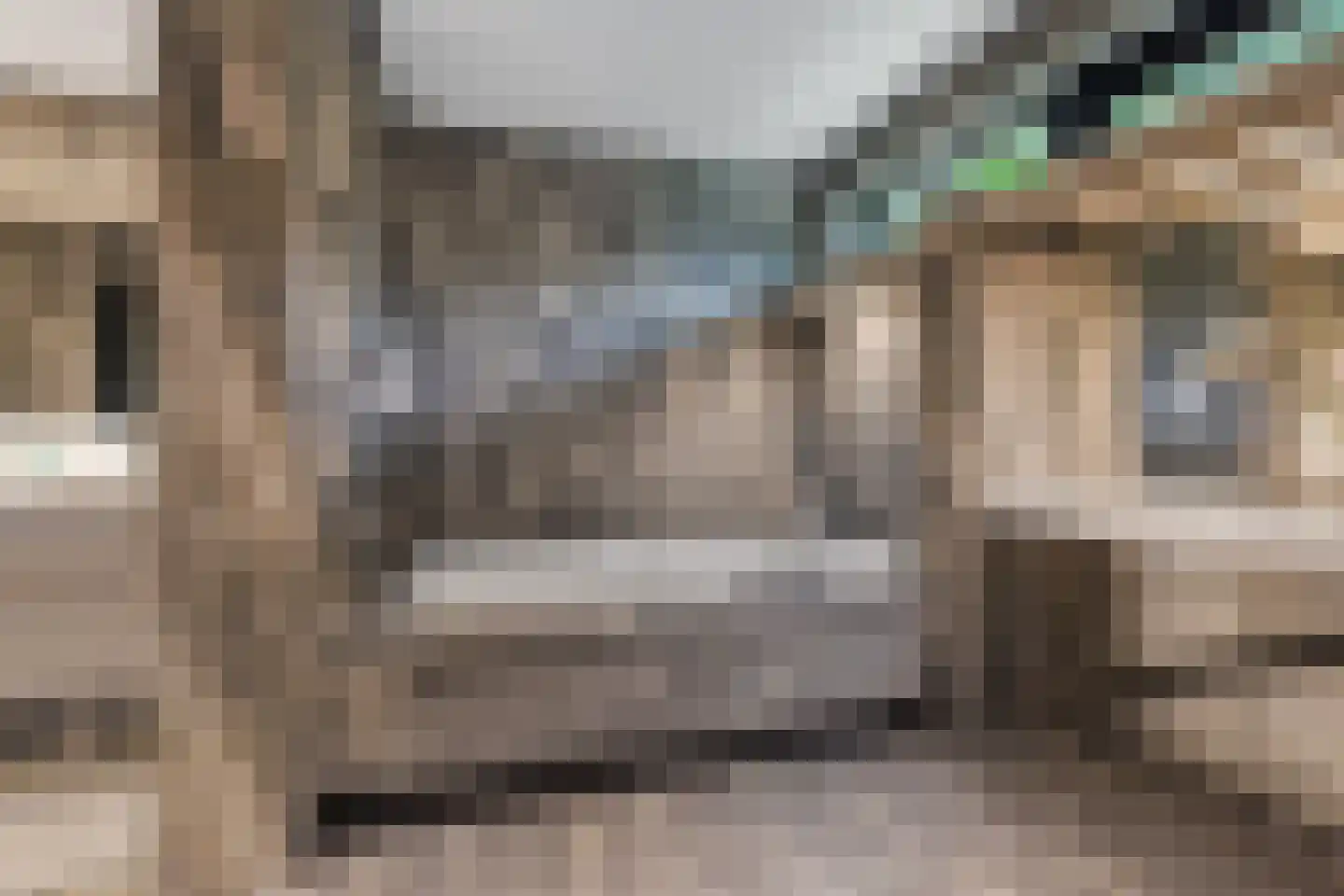 Ministerlaan 72 Eindhoven thumbnail 54