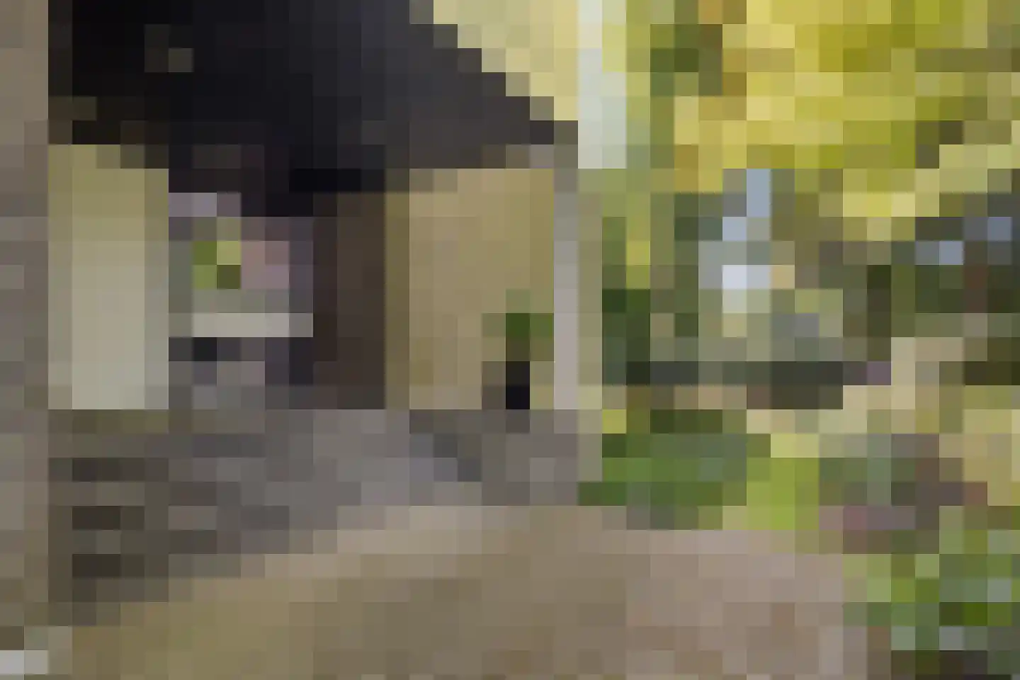 Ministerlaan 72 Eindhoven thumbnail 64