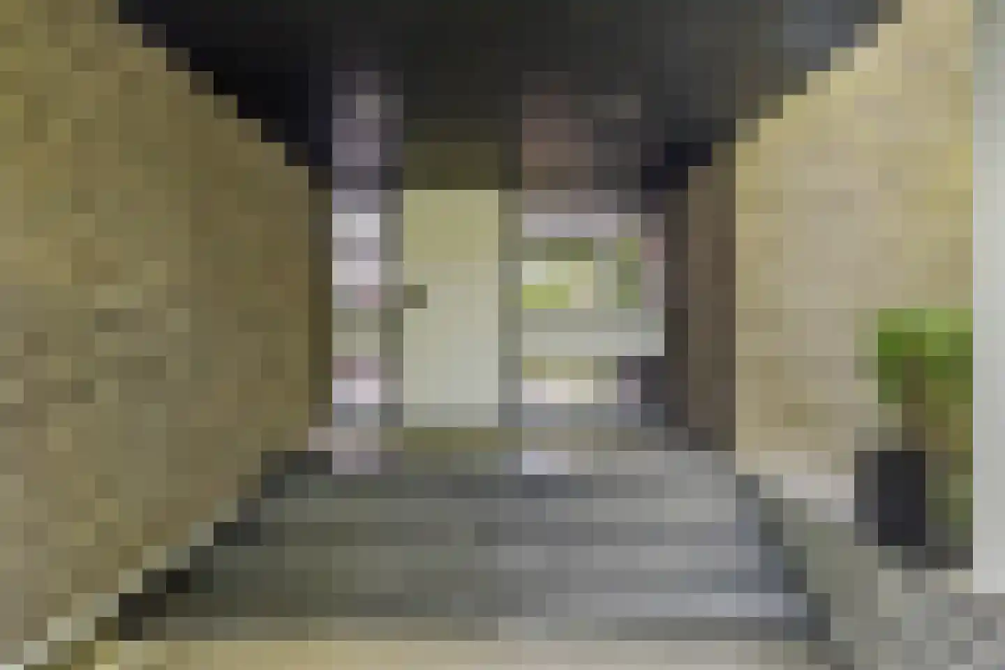 Ministerlaan 72 Eindhoven thumbnail 7