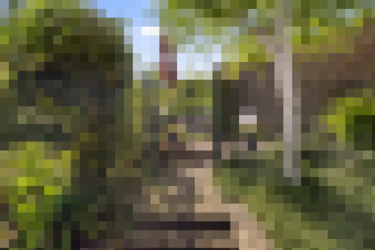 Ministerlaan 72 Eindhoven thumbnail 78