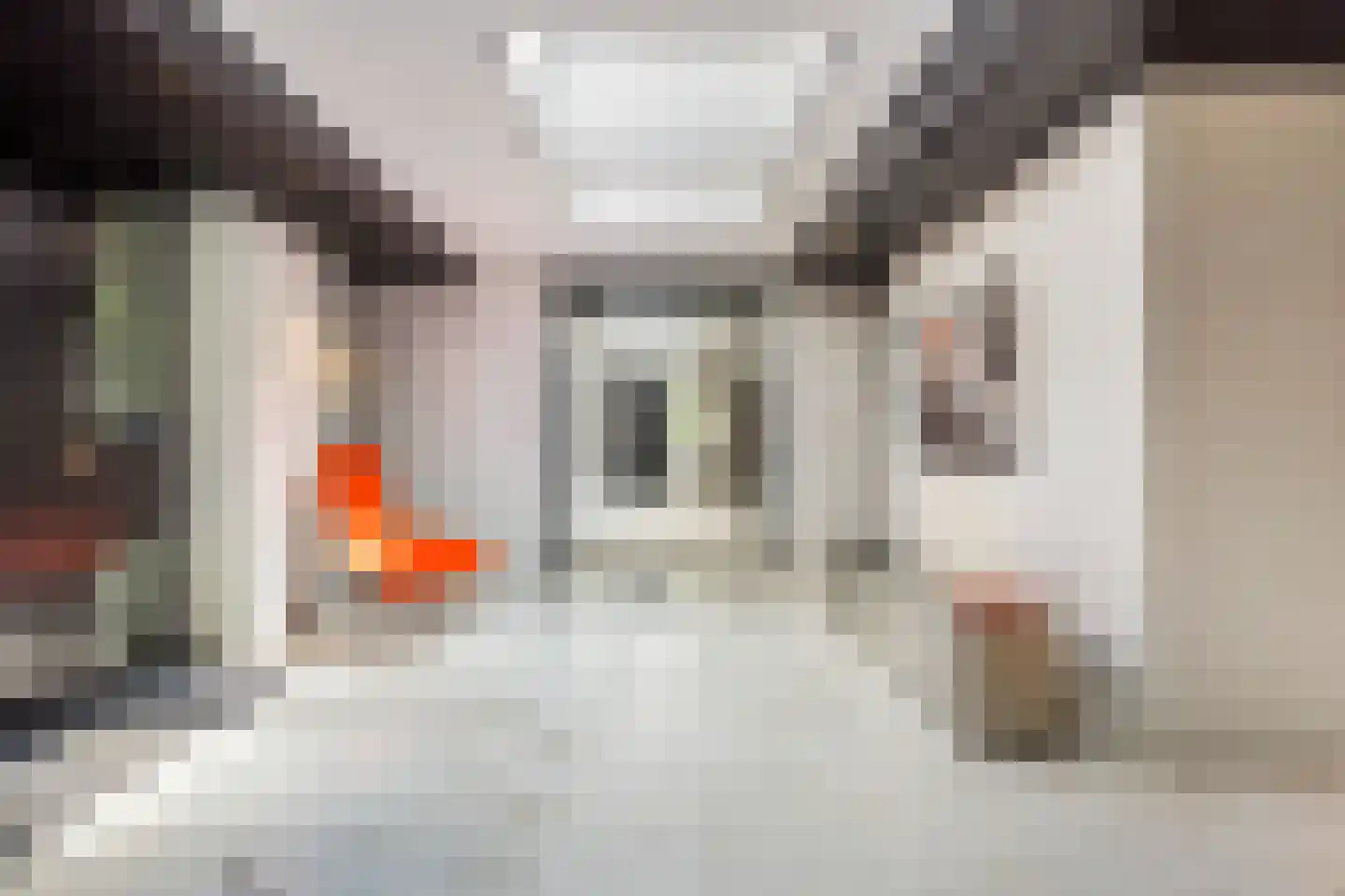 Ministerlaan 72 Eindhoven thumbnail 9