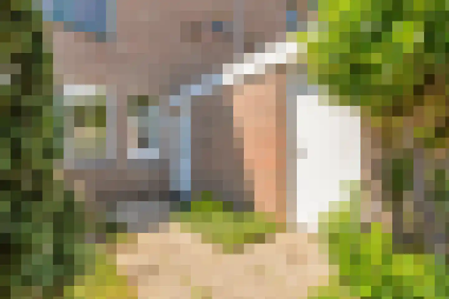 Ministerlaan 79 Zwolle thumbnail 28