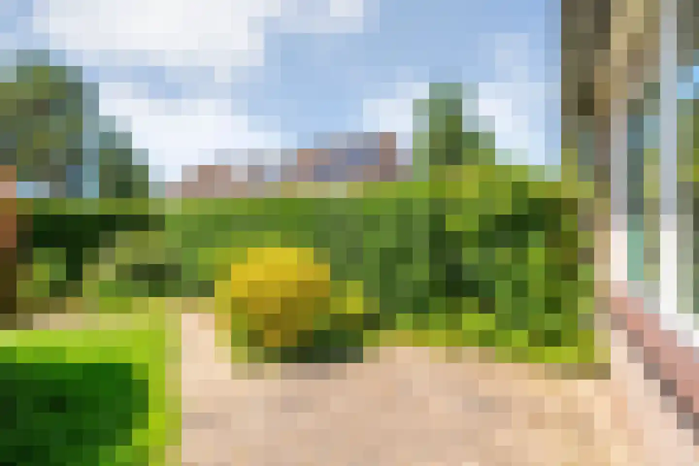 Ministerlaan 79 Zwolle thumbnail 30