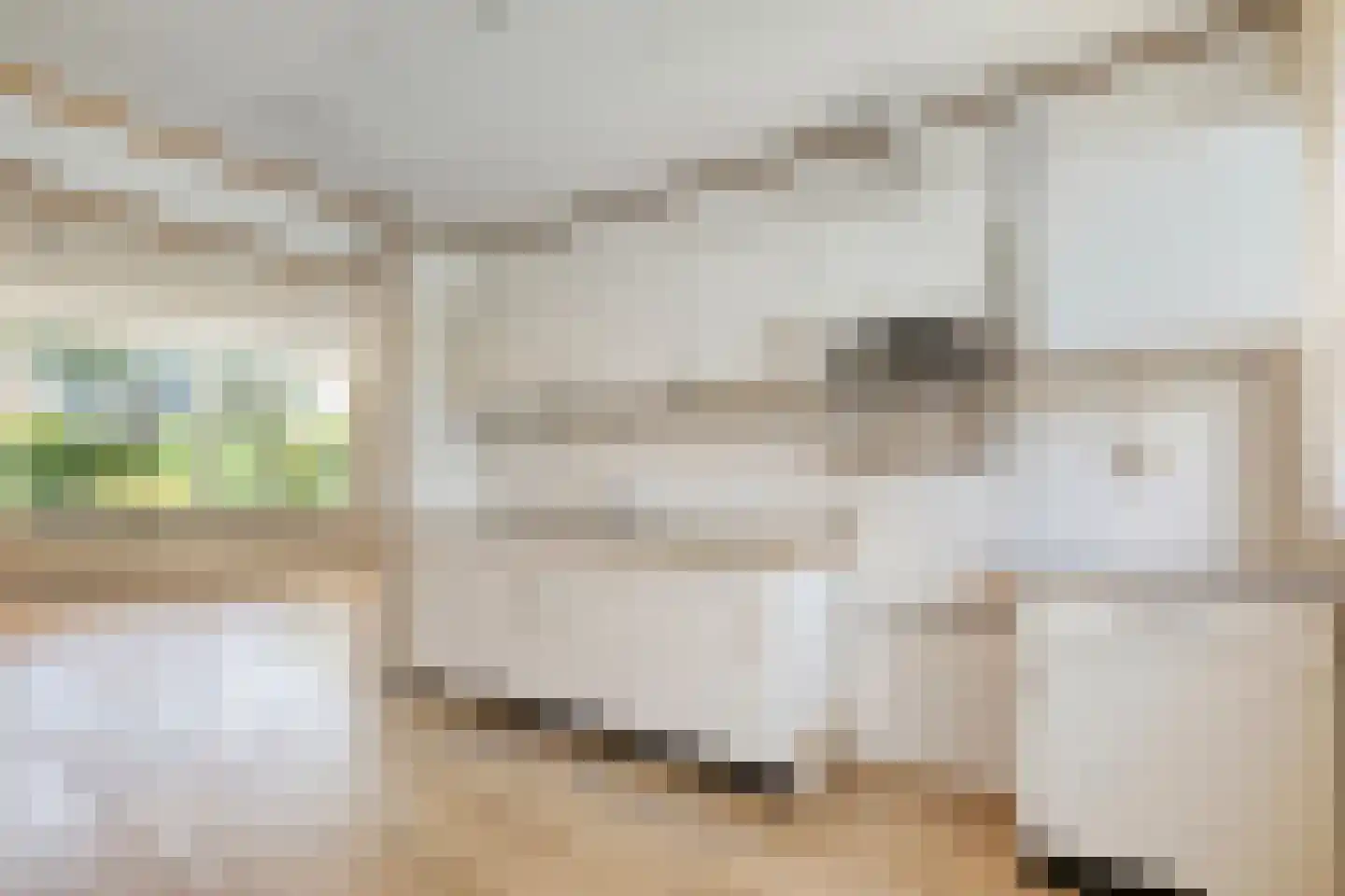 Ministerlaan 79 Zwolle thumbnail 5