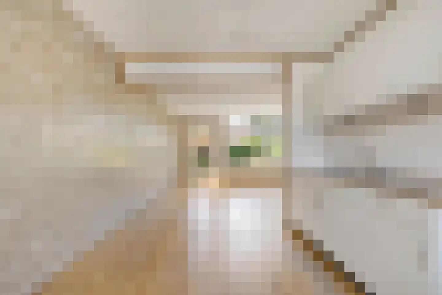Ministerlaan 79 Zwolle thumbnail 7