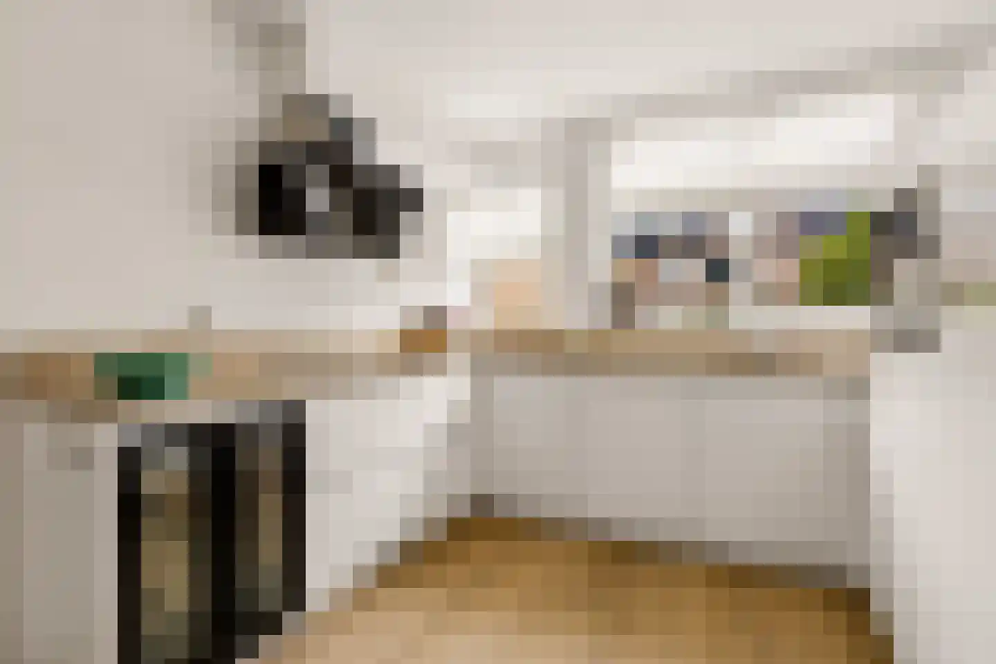 Ministerlaan 87 Zwolle thumbnail 17