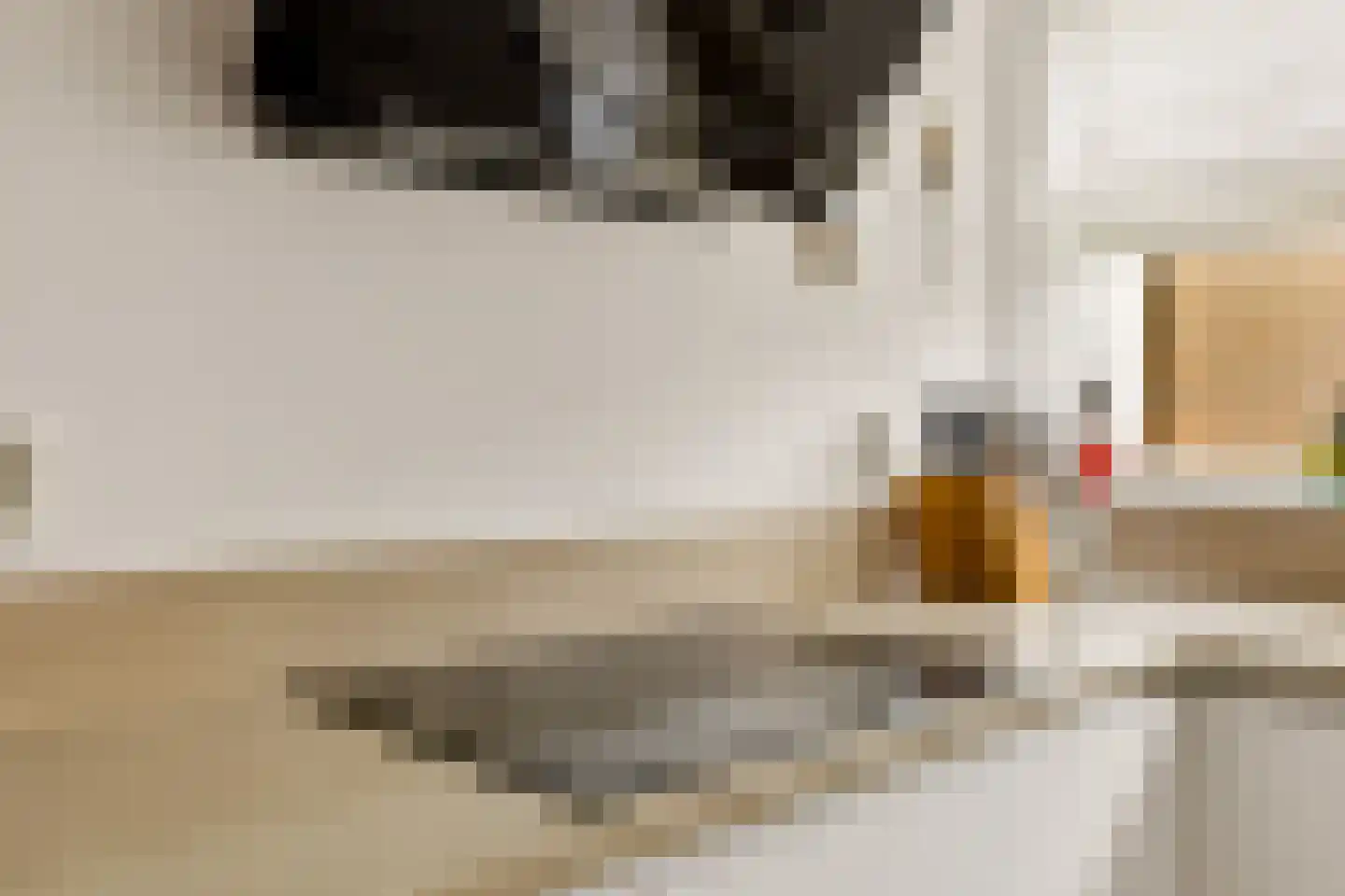 Ministerlaan 87 Zwolle thumbnail 20