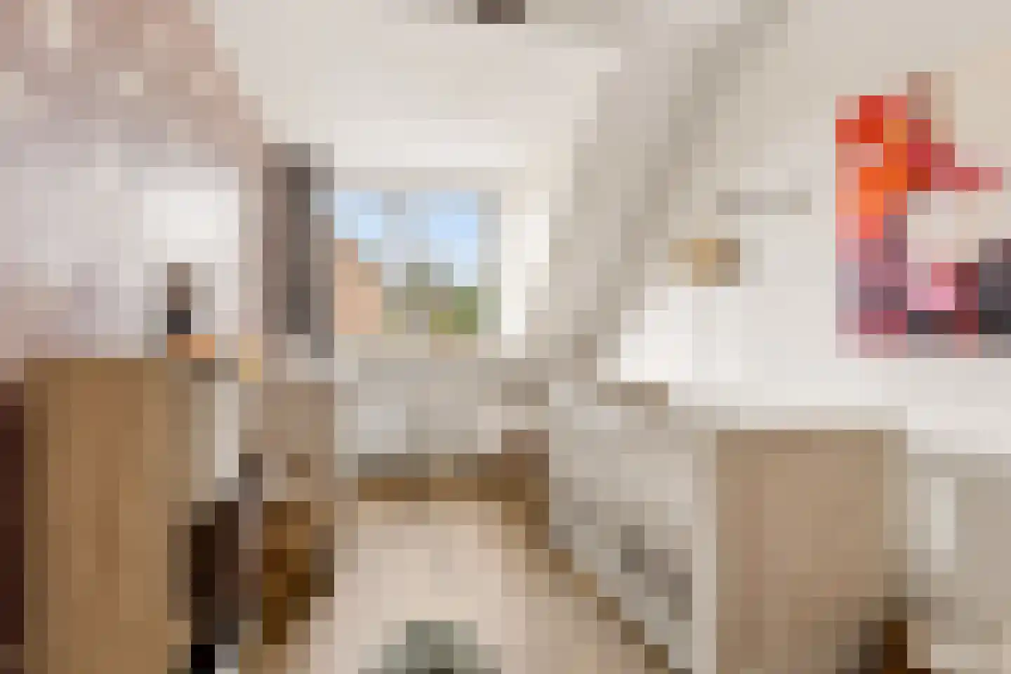 Ministerlaan 87 Zwolle thumbnail 27