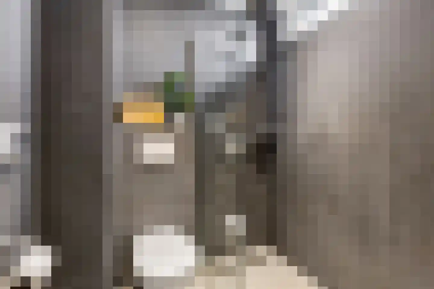 Ministerlaan 87 Zwolle thumbnail 32