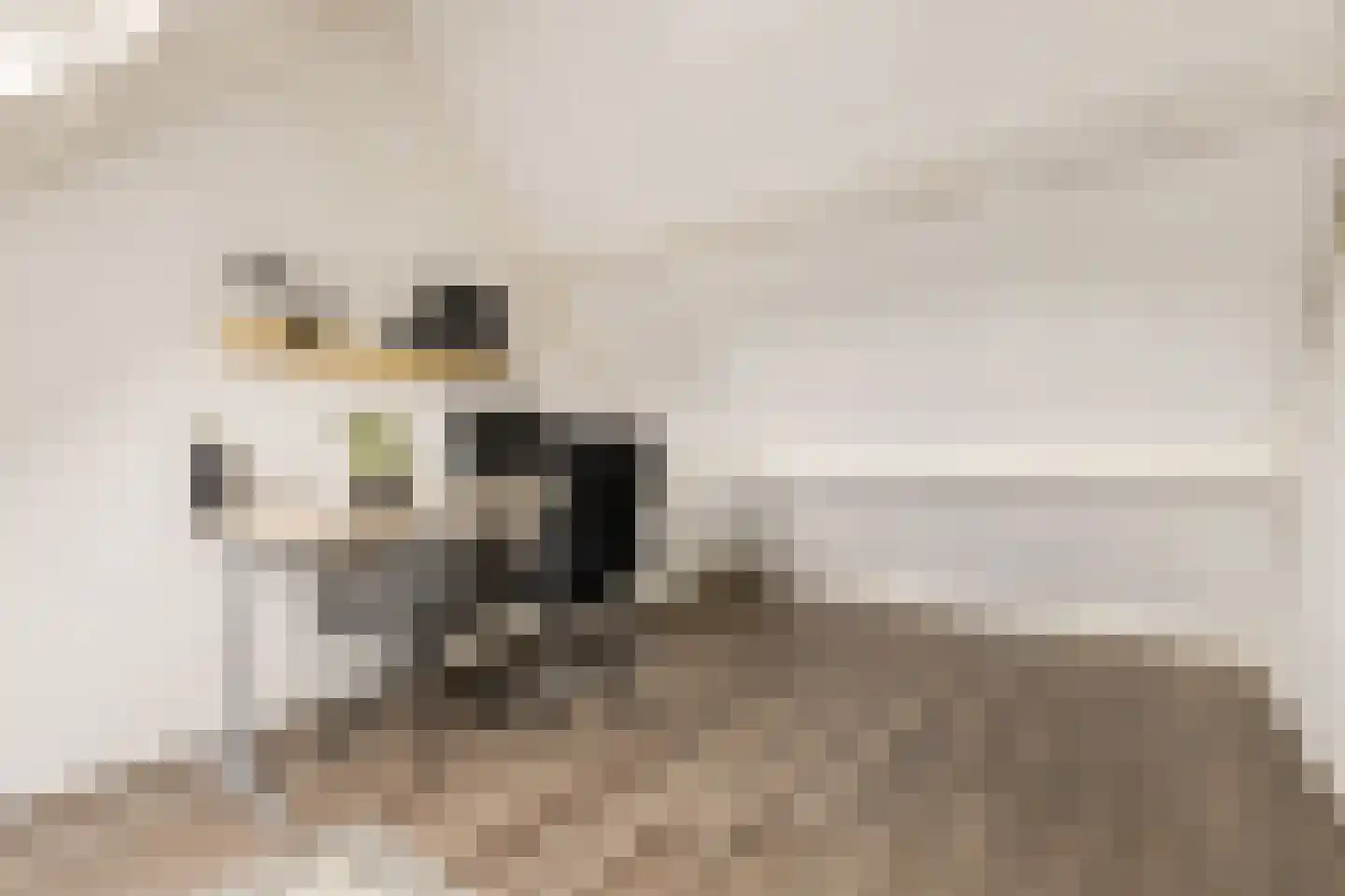 Ministerlaan 87 Zwolle thumbnail 34
