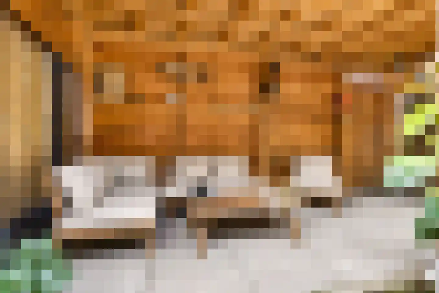 Ministerlaan 87 Zwolle thumbnail 41