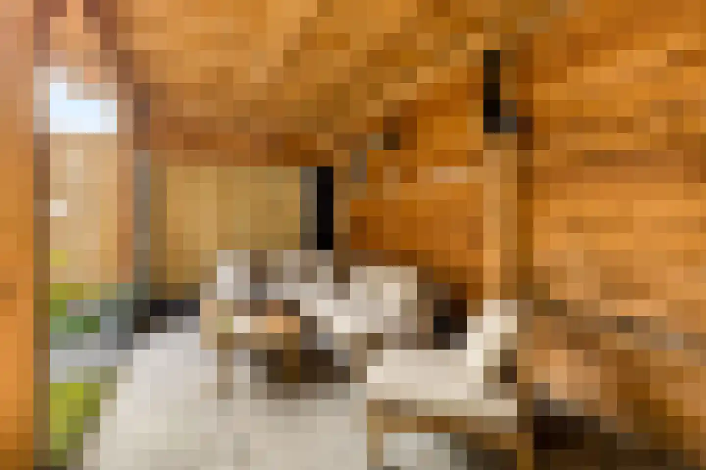 Ministerlaan 87 Zwolle thumbnail 42