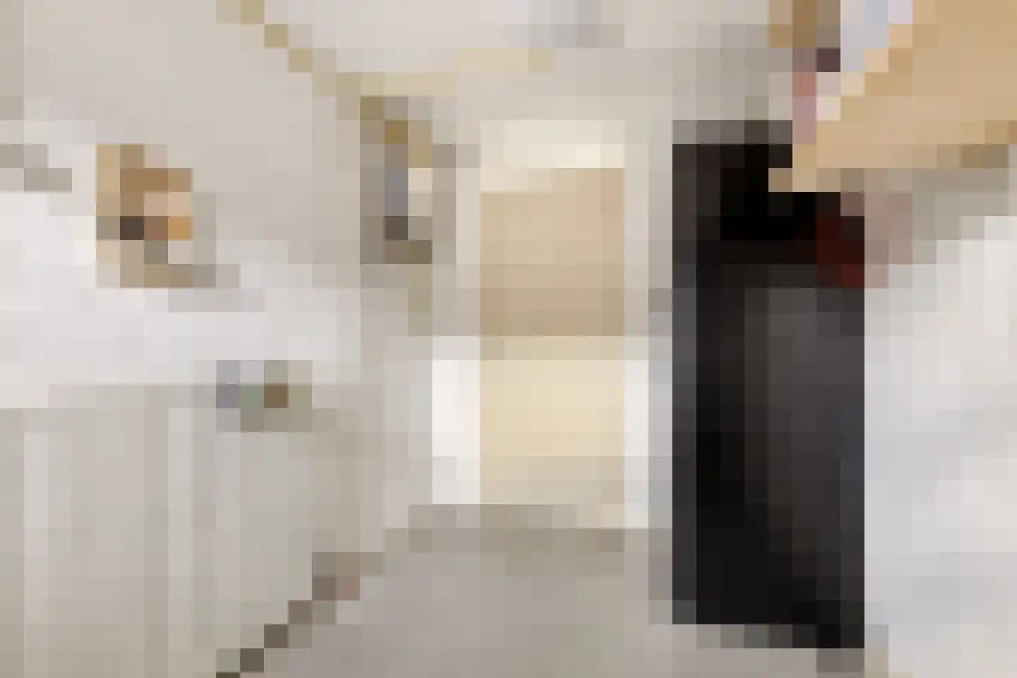 Ministerlaan 87 Zwolle thumbnail 44
