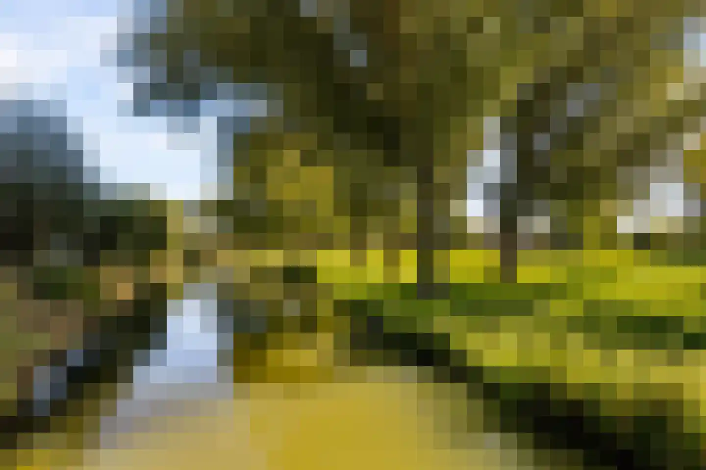 Ministerlaan 87 Zwolle thumbnail 49