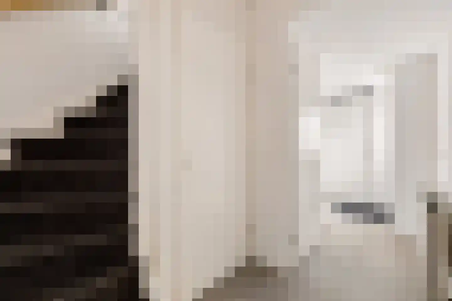 Ministerlaan 87 Zwolle thumbnail 8