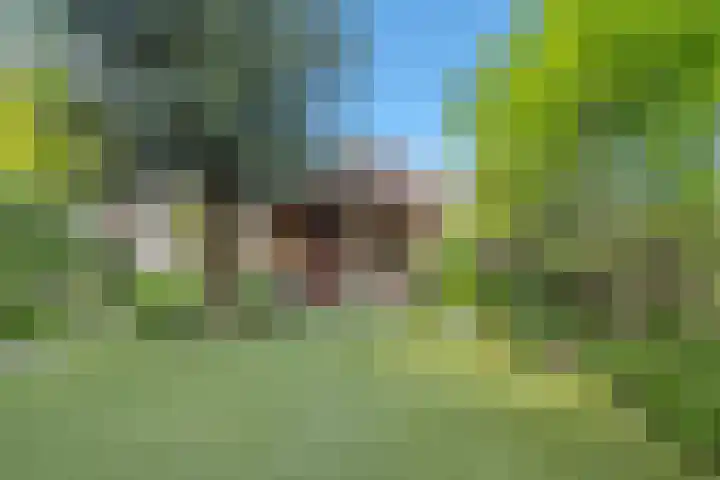 Mink 4 Veldhoven thumbnail 50
